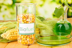 Bilberry biofuel availability